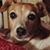 Jeri Williams's profile image