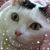 Stephanie G. Metzger's profile image