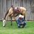 Steve Gesell's profile image