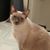 Mary J Klett's profile image