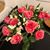 Bridget Ann Sterk's profile image