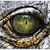 Matt Duvall's profile image