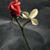 Kelly Tomlin's profile image