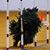 Dagmar Fertl's profile image