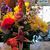 Deborah Lynn's profile image