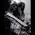 Selena Gillespie's profile image