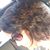 Kellie Arbuckle Wilford's profile image
