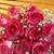 Sharefan Nisha's profile image