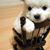 Karen Collins Stephens's profile image