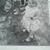 Mary Striffler Bowden's profile image