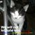Karen Martin's profile image