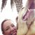 Melissa Mizer Wilhelm's profile image