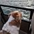 Christina Andrews's profile image