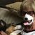 Sharon DeShazer's profile image