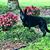 Angie Korab's profile image