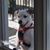 Donald James Wesson's profile image