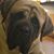 Stacy Monarch Effinger's profile image