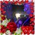 Dick Hankins's profile image