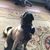 Marsha Tracy Peterson's profile image