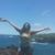 Gina Branford's profile image