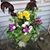 Vicki Montgomery's profile image