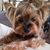 Coco Smoke's profile image