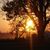 Bonnie De Jong's profile image
