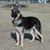 Becki Johnson's profile image