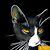Andre Penelope Cameron Pessoa's profile image