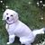 Roger Asher's profile image