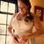 Rebecca DeGeiso's profile image