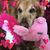 Margaret Mondelli's profile image
