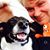 Michael Schafer's profile image