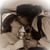 Connie Gilbreath's profile image