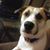 Martine Purdy's profile image