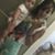 Perla Angelica Gonzales's profile image