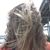 Rebeka Marshall's profile image
