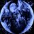 Stuart Woedl's profile image