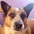 Lori Wollard's profile image