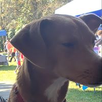 Arysel Sincc's profile image