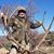 Judy Wulfeck's profile image