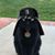 Jan Cook's profile image