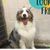 John Sarsfield's profile image
