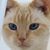 Pattie Tibbetts's profile image
