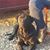 Holly M Farnsworth Purple's profile image