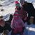 Janie Cutshaw's profile image