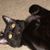 Jillian Seabrook's profile image