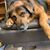 Chrissy Bruns's profile image