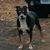 Christopher Bartis's profile image