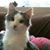 Katherine Yoder's profile image